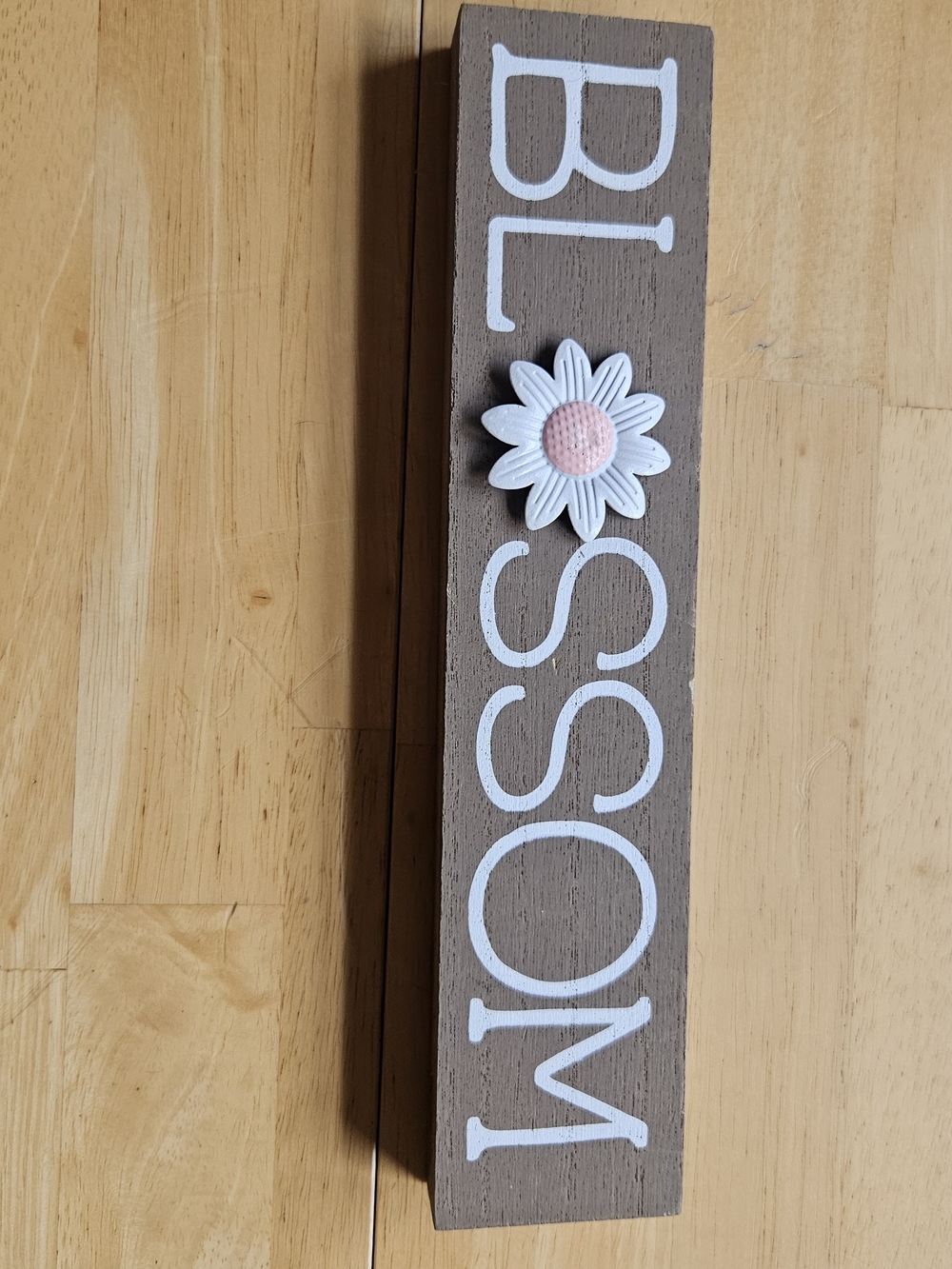 Blossom Daisy Wall Plaque - White and Pink